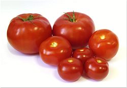Тест свежих томатов (отечественные). РИПИ