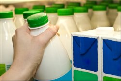 Тест пастеризованного молока