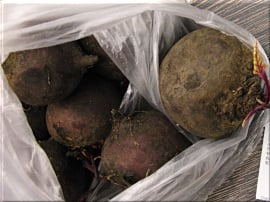 Тест свежих овощей и зелени из Республики Крым. Морковь в магазине ПУД