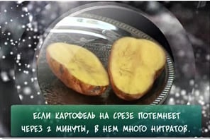 Картофель в разрезе
