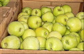 Яблоки в коробках