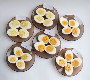 Тест куриных яиц.