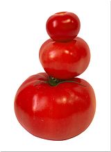 Тест отечественных томатов. РИПИ 2014