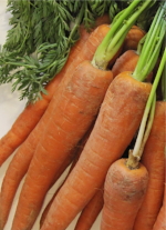 Тест свежих овощей. Морковь. РИПИ 2016
